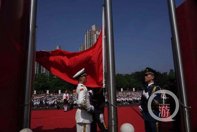 如果可以你会愿意领养退役搜救犬吗，为什么？游戏画面